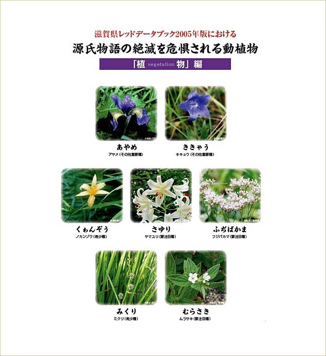 絶滅を危惧される動植物 植物