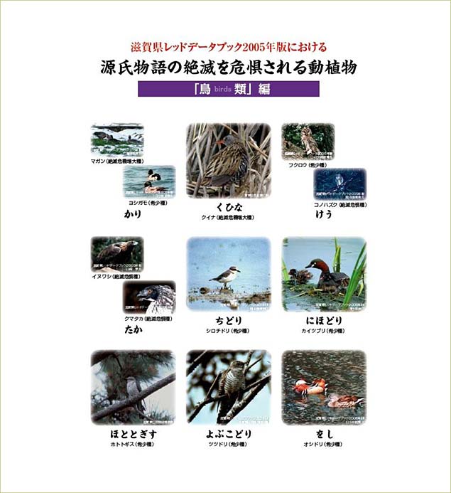 絶滅を危惧される動植物 鳥類