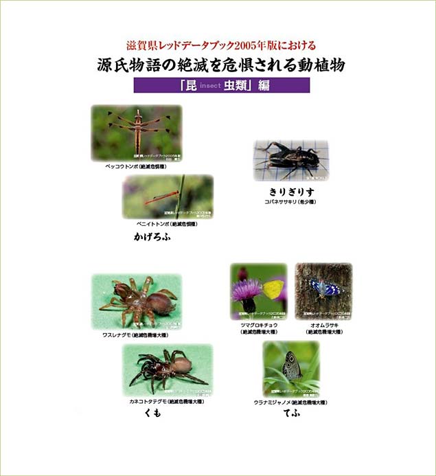 絶滅を危惧される動植物 昆虫類