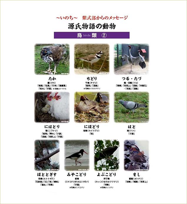 源氏物語の動物　鳥類2
