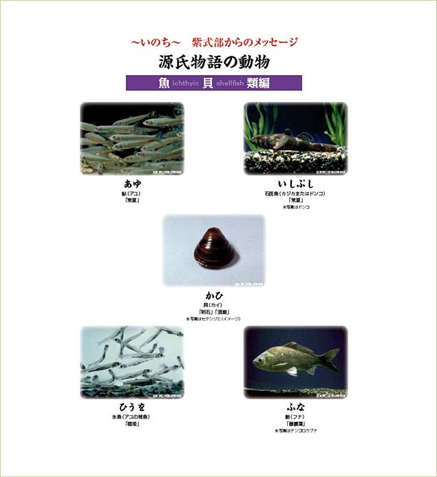 源氏物語の動物　魚介類
